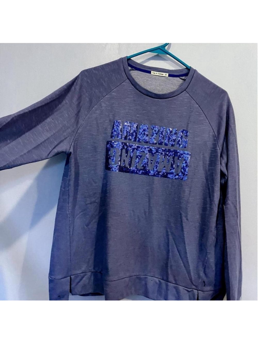 "AMAZING" Sequin Embellished Purple Grey Sweatshirt (Medium)